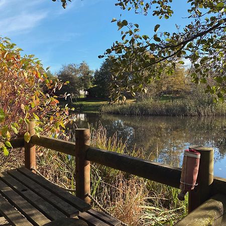 Hazel Oaks, Beautiful Lodge With Hot Tub - Sleeps 6 - Felmoor Park Morpeth Zewnętrze zdjęcie
