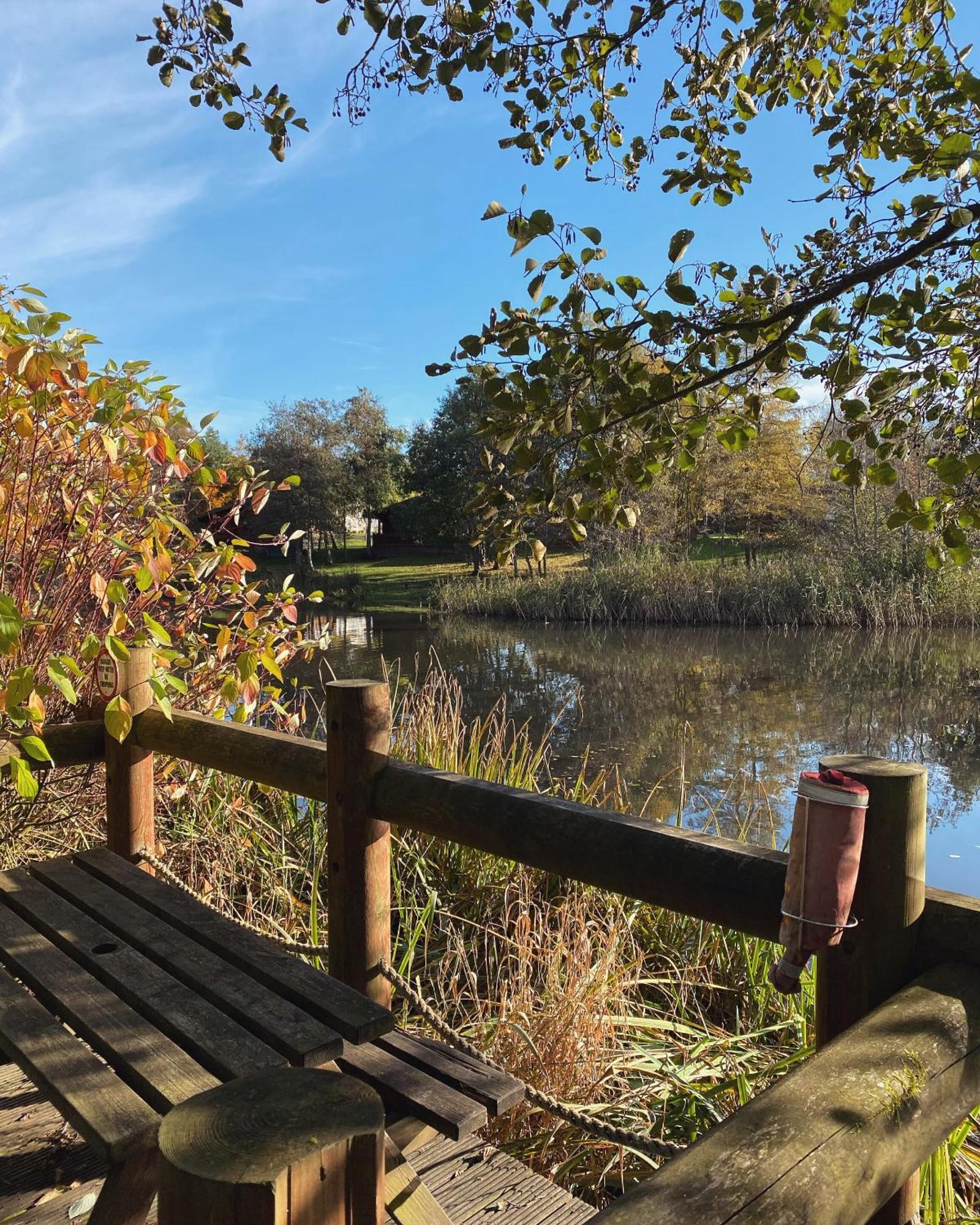 Hazel Oaks, Beautiful Lodge With Hot Tub - Sleeps 6 - Felmoor Park Morpeth Zewnętrze zdjęcie